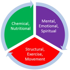 structural emotional chemical balance 300x300 - Chiropractic