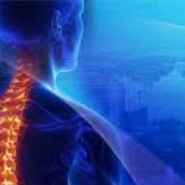 Empowering Wellness Featured Image Chiropractice 1 380x380 - How are you wired? (Understanding the nervous system)