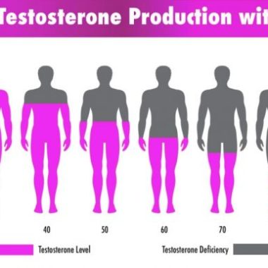 How And Why Does Testosterone Deficiency Affect Older Men 736x386 1 380x380 - How does Testosterone level affects men and how to know if it's low.