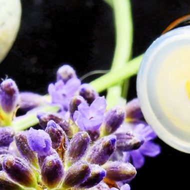 Empowering Wellness Header How Naturopathy Treat Conditions From Their Root Causes 380x380 - How Naturopathy Treats The Root Cause of a Condition