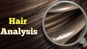 hair analysis 300x169 - Wellness Technologies