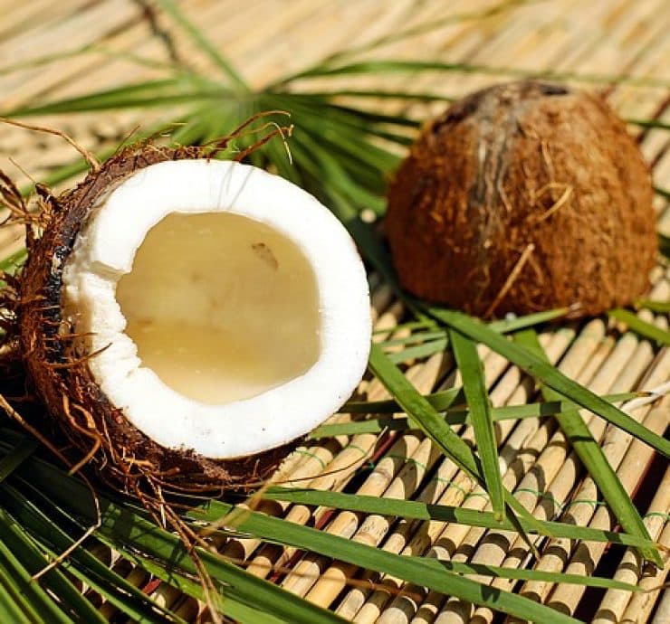 coconut 1501334 640 740x690 1 - How to naturally prevent dry skin in Autumn.