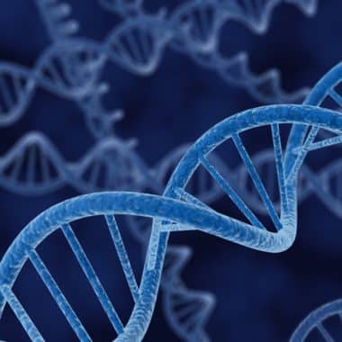 genome healing dna 380x380 - Epigenetics: how to trick the genetic influence.