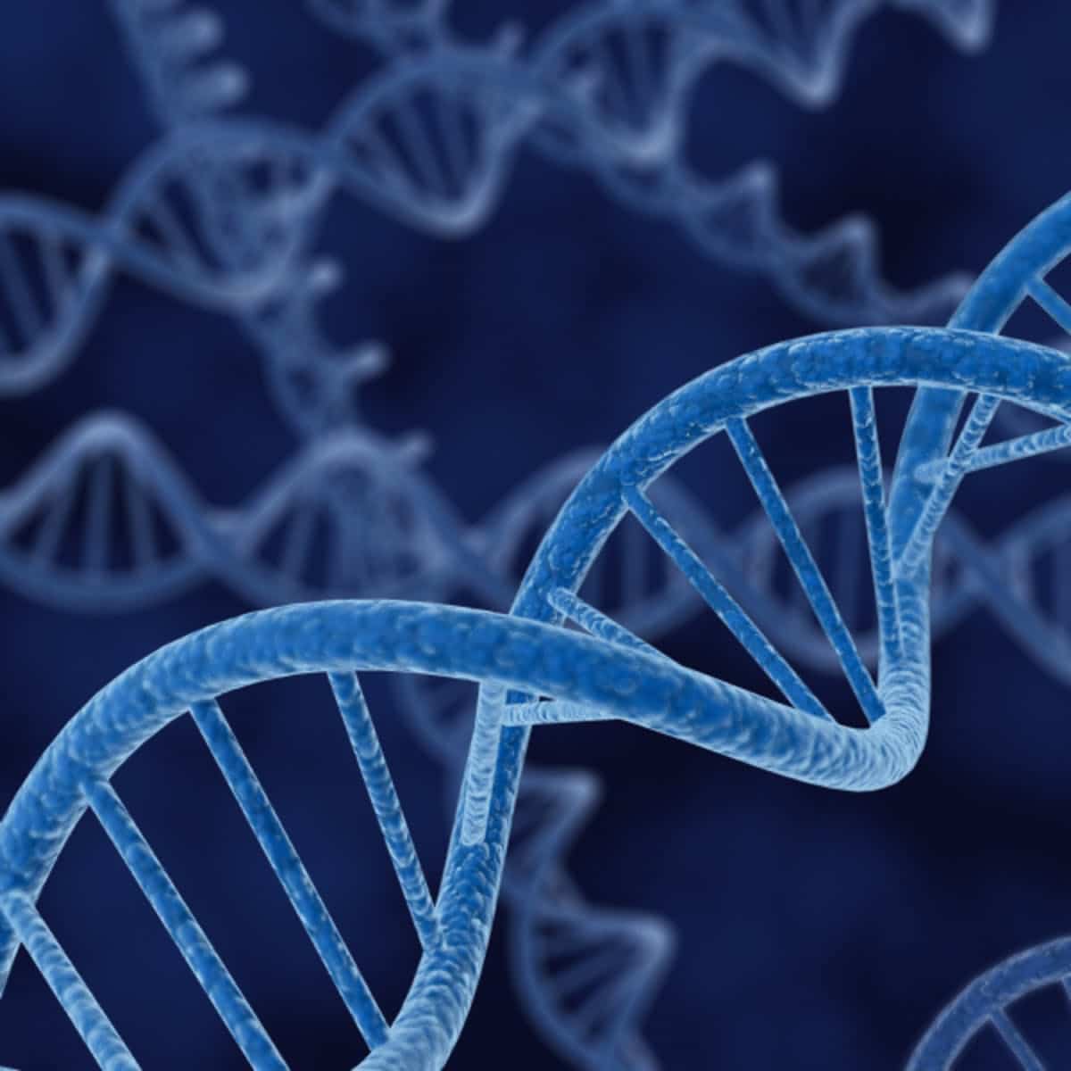 genome healing dna - Epigenetics: how to trick the genetic influence.